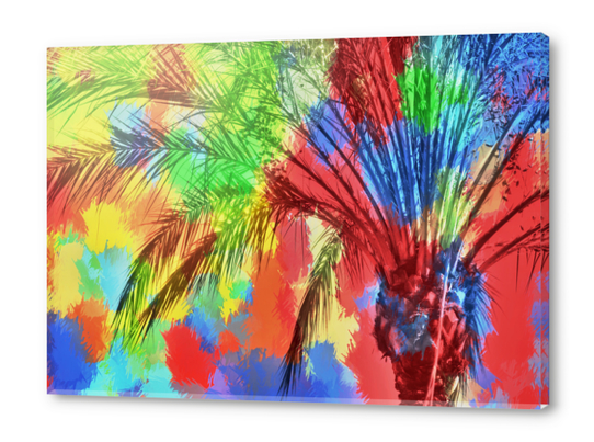 isolate palm tree with painting abstract background in red blue green yellow Acrylic prints by Timmy333