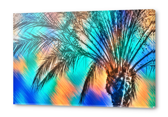 isolate palm tree with painting abstract background in green blue orange Acrylic prints by Timmy333