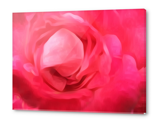 closeup red rose texture abstract background Acrylic prints by Timmy333