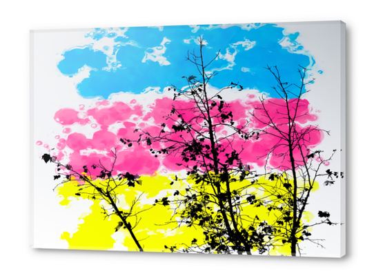 tree branch with leaf and painting texture abstract background in blue pink yellow Acrylic prints by Timmy333