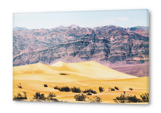 sand desert with mountain background at Death Valley national park, USA Acrylic prints by Timmy333