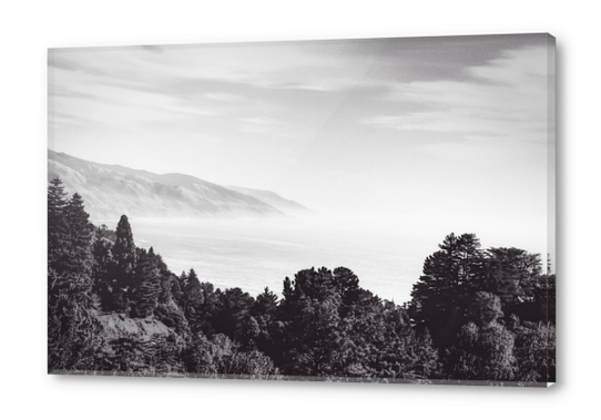 Beautiful ocean view with forest front view at Big Sur, California, USA in black and white Acrylic prints by Timmy333