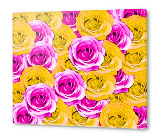 pink rose and yellow rose pattern abstract background Acrylic prints by Timmy333