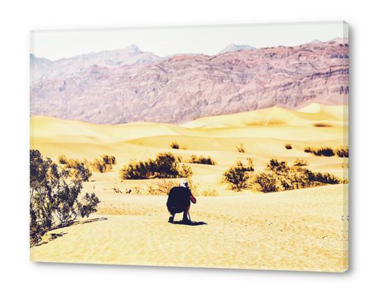 At Death Valley national park, USA in summer Acrylic prints by Timmy333