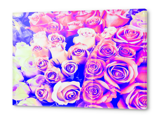 bouquet of roses texture pattern abstract in pink and purple Acrylic prints by Timmy333