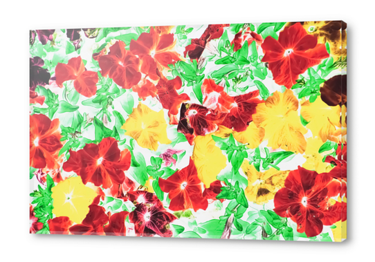 red flower and yellow flower with green leaf abstract background Acrylic prints by Timmy333