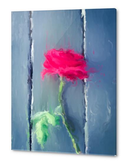 painting red rose with green leave on the wood table Acrylic prints by Timmy333