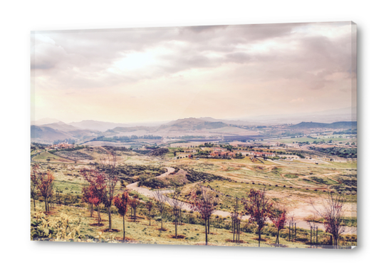 countryside view with sunset sky and green field with mountain view Acrylic prints by Timmy333