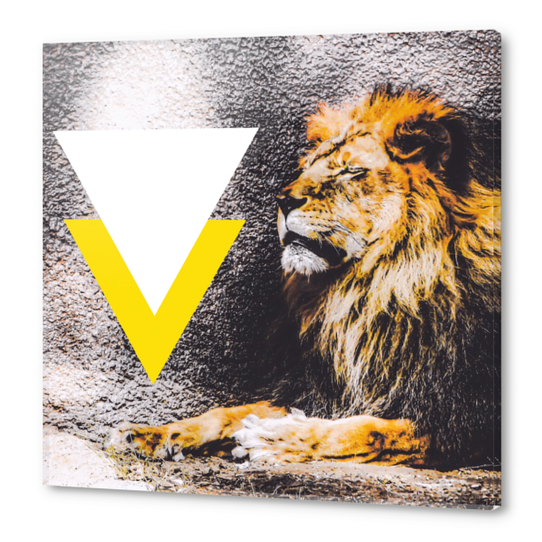 lion with white and yellow triangle  Acrylic prints by Timmy333