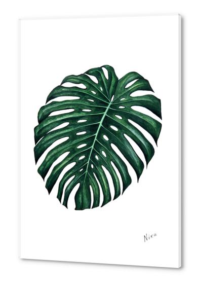 Monstera Acrylic prints by Nika_Akin