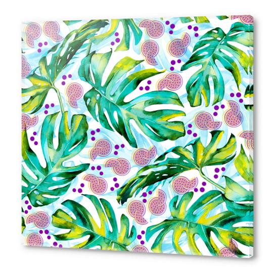 Tropical leaf and fruits Acrylic prints by mmartabc