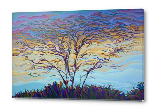 Twilight TapesTree Acrylic prints by Amy Ferrari Art