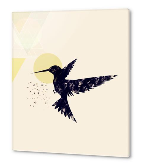 Bird X Acrylic prints by Amir Faysal