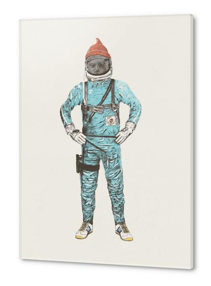 Zissou In Space Acrylic prints by Florent Bodart - Speakerine