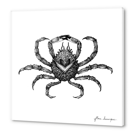 Araignée de mer Acrylic prints by Florehenocque