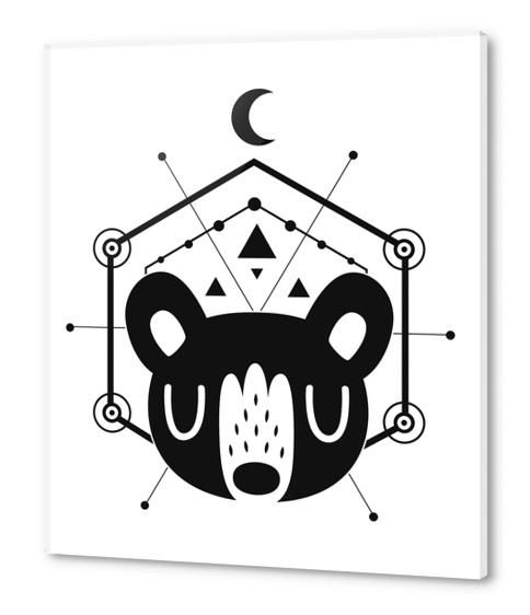 Mystic Black Moon Bear Acrylic prints by Claire Jayne Stamper