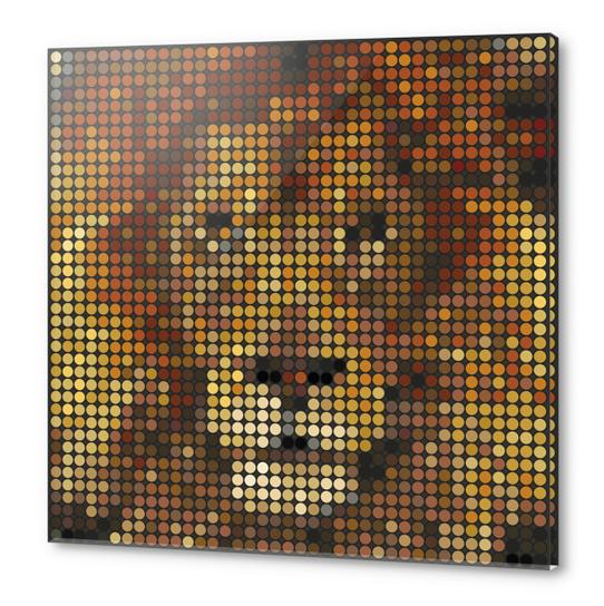 Lion Acrylic prints by Vic Storia