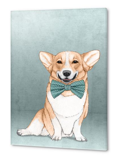 Corgi Dog Acrylic prints by Barruf