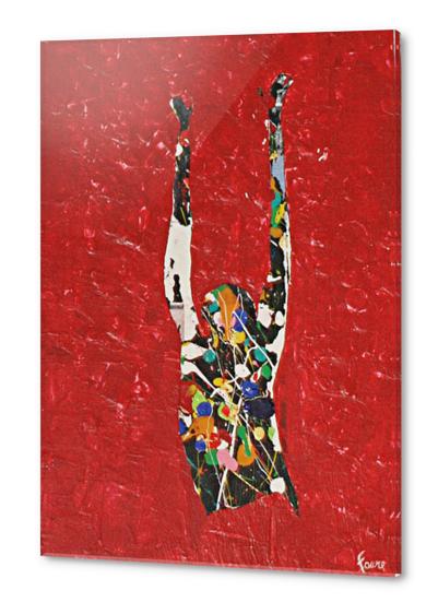 Envol Acrylic prints by Pierre-Michael Faure