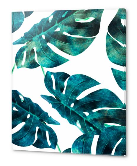 Fixation No. 8 Acrylic prints by Uma Gokhale