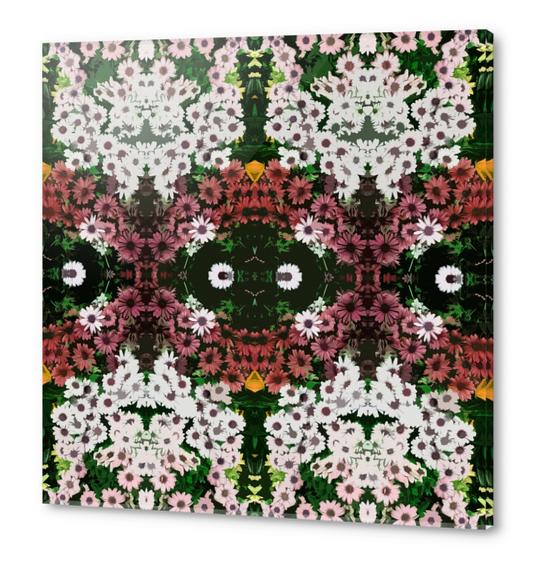 floral II Acrylic prints by texturesandpatterns