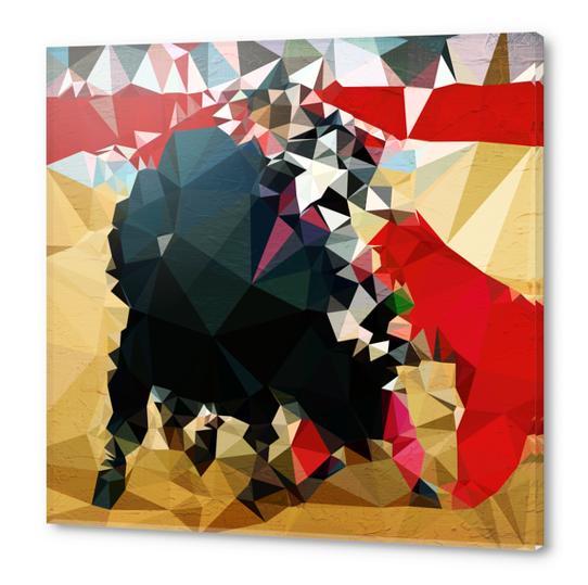 Toro! Acrylic prints by Vic Storia