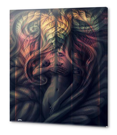 SENSUALLY HIDDEN Acrylic prints by G. Berry