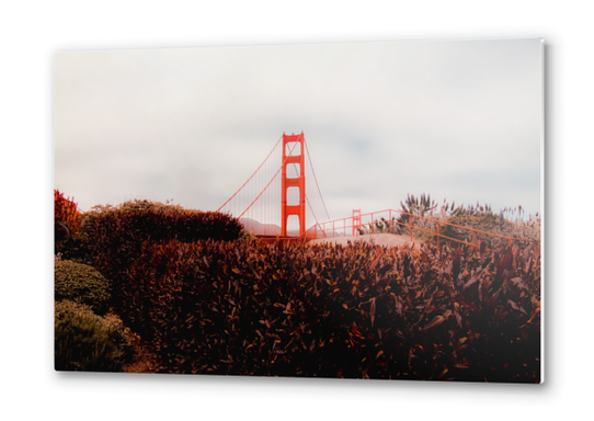 Golden Gate Bridge San francisco USA with cloudy sky Metal prints by Timmy333