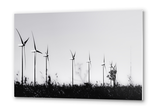 desert with wind turbine in black and white Metal prints by Timmy333