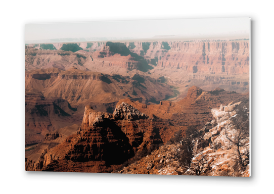 Summer view in the desert at Grand Canyon national park USA Metal prints by Timmy333