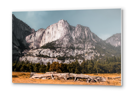 Mountains with blue sky at Yosemite national park California USA Metal prints by Timmy333