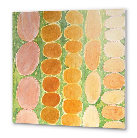 Rows of Round and Reddish Food on Green  Metal prints by Heidi Capitaine