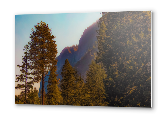 mountain and pine tree view at Yosemite national park California USA Metal prints by Timmy333