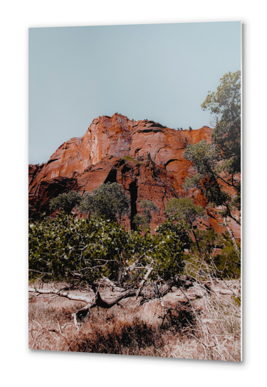 mountain with green tree in the forest at Zion national park, Utah, USA Metal prints by Timmy333