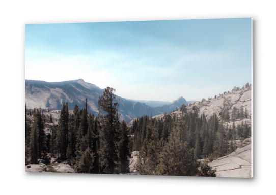 green pine tree and mountain view at Yosemite national park California USA Metal prints by Timmy333