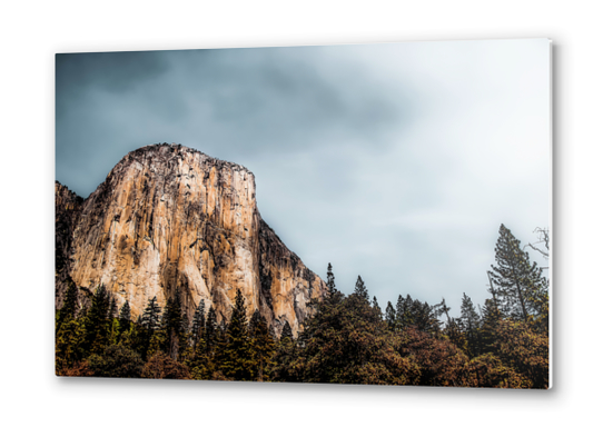 Mountains and pine tree with blue cloudy sky at Yosemite national park, California, USA Metal prints by Timmy333