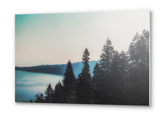 pine tree and lake at Emerald Bay Lake Tahoe California USA Metal prints by Timmy333