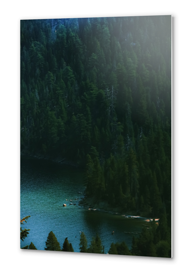 green pine tree and blue water at Emerald Bay Lake Tahoe California USA Metal prints by Timmy333