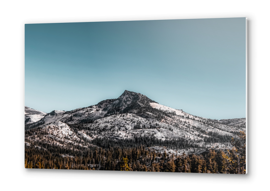 isolated mountain at Yosemite national park California USA Metal prints by Timmy333