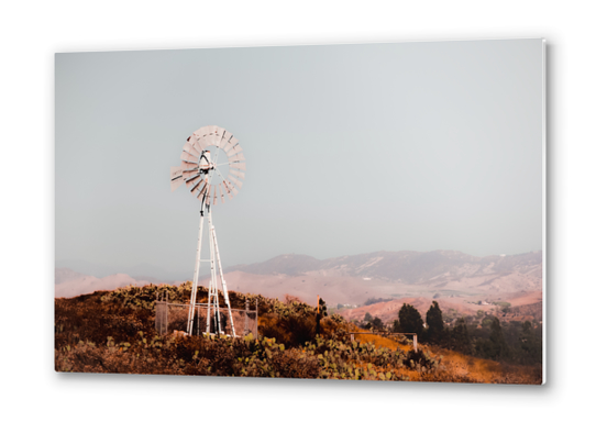 windmill and cactus garden with mountain view and blue sky background Metal prints by Timmy333