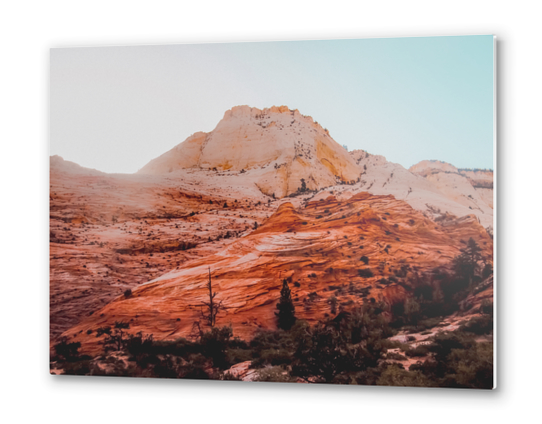 Mountain view at Zion national park Utah USA Metal prints by Timmy333