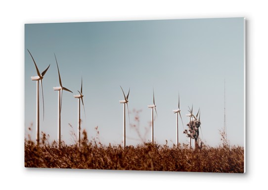 Wind turbine in the desert with blue sky at Kern County California USA Metal prints by Timmy333