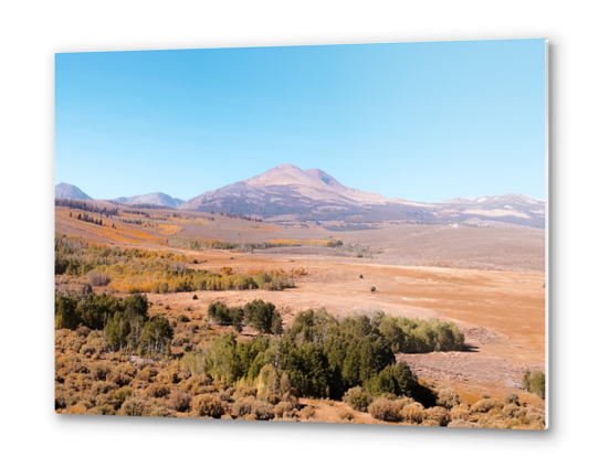 autumn tree with mountain view and blue sky in California USA Metal prints by Timmy333