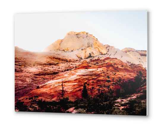 Mountain view in the forest at Zion national park, Utah, USA Metal prints by Timmy333