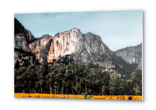 mountains with pine tree and blue sky at Yosemite national park, California, USA Metal prints by Timmy333