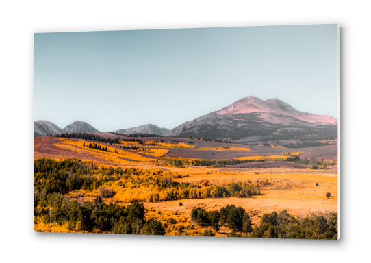 autumn landscape with mountain view and blue sky in California USA Metal prints by Timmy333