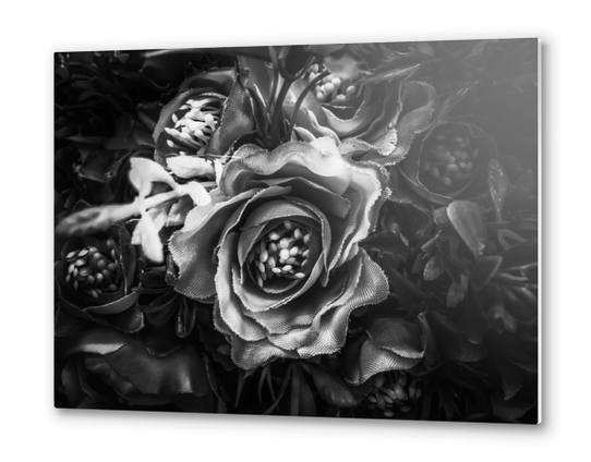 closeup roses texture background in black and white Metal prints by Timmy333