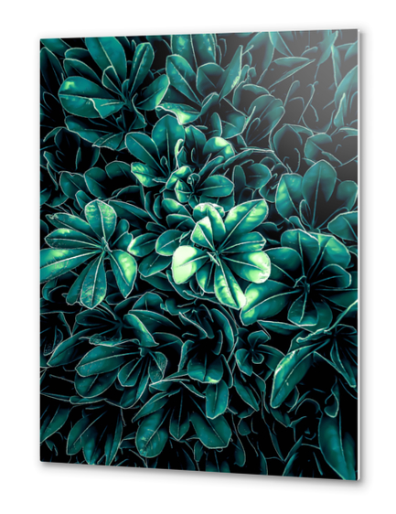 closeup green leaves texture background Metal prints by Timmy333