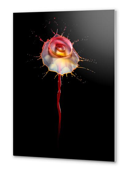 Water Rose Metal prints by Jarek Blaminsky