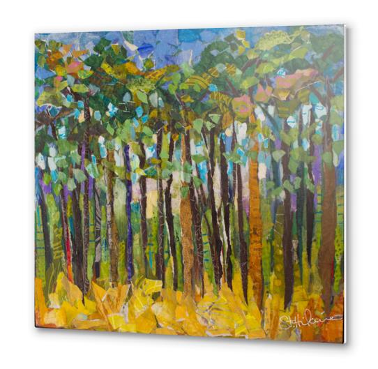 Pine Forrest Metal prints by Elizabeth St. Hilaire